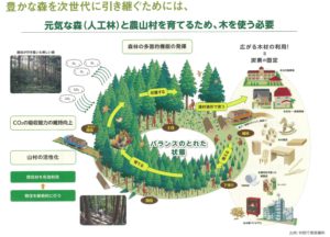 石川県の地域材について｜木材の種類（スギ、能登ヒバ等）|フルタニ 