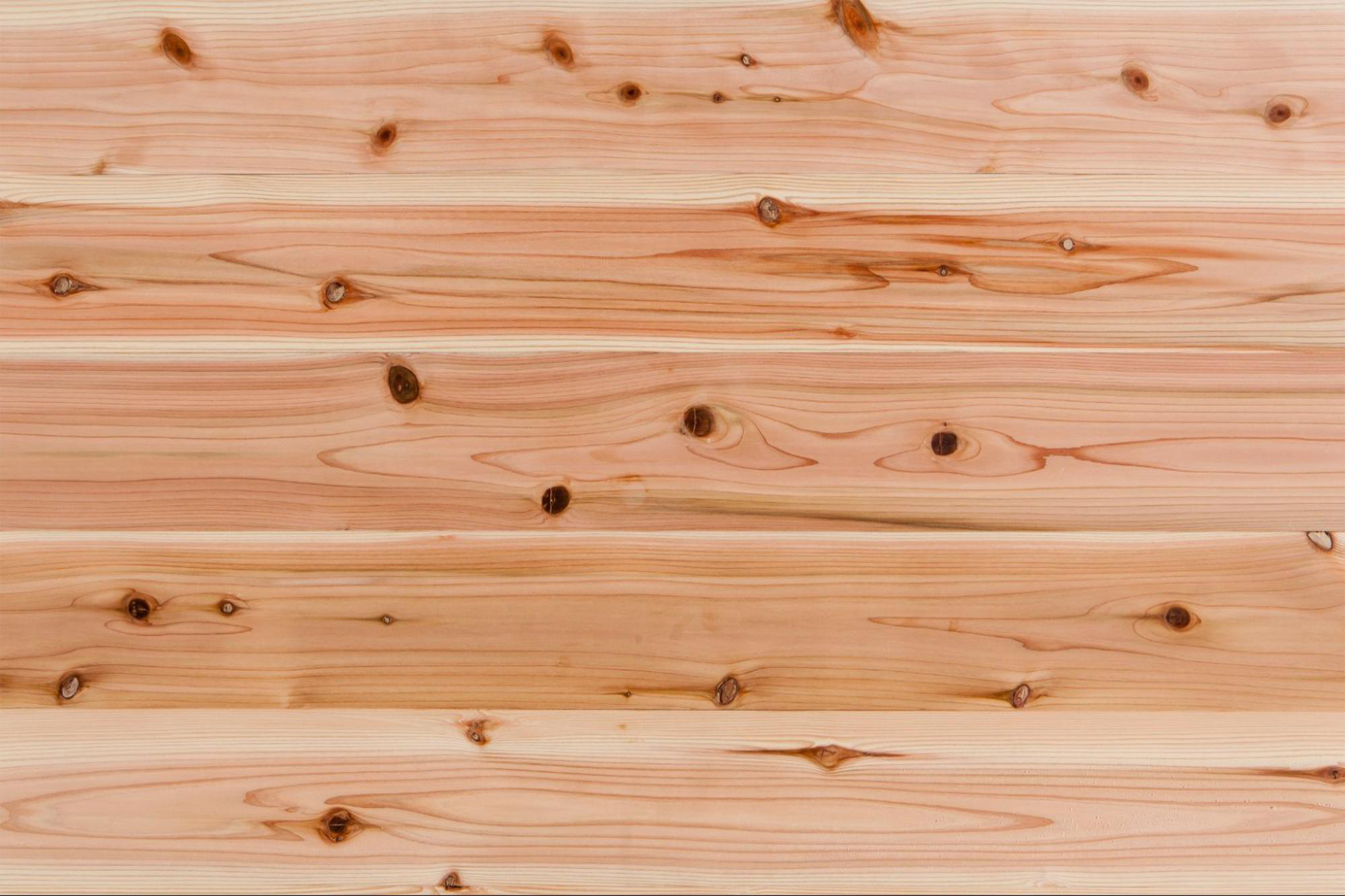 値下げしました❗石川県産 杉の無垢天板 - ダイニングテーブル