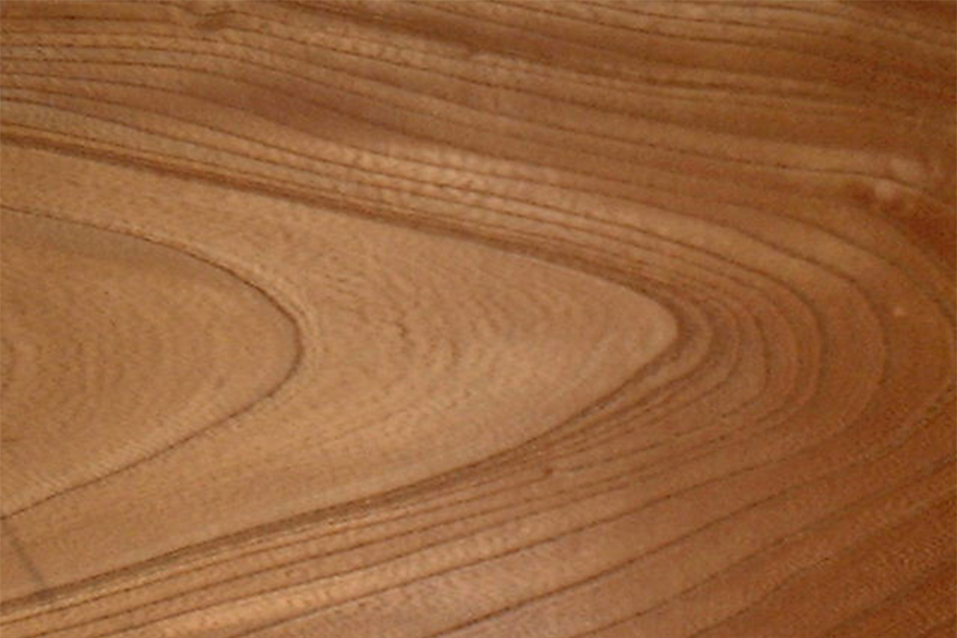 欅（ケヤキ）の木とは｜木材の特徴や原木価格、使用される家具を紹介