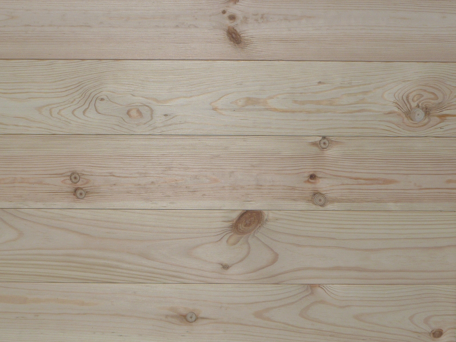 無垢フローリングで使われている主な樹種